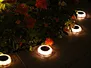solar deck light